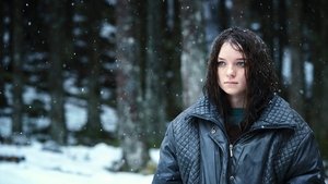 Ханна (сериал, 2019)