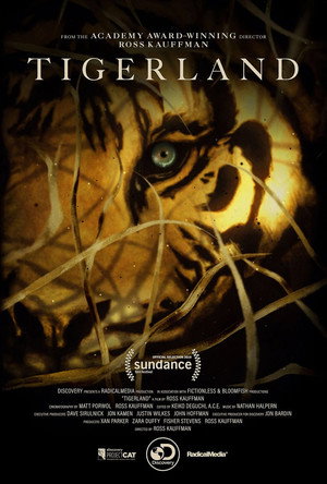 Спасти тигра (фильм, 2019)