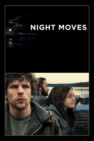 Ночные движения (фильм, 2013)