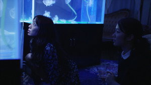 Невеста Рип ван Винкля (фильм, 2016)