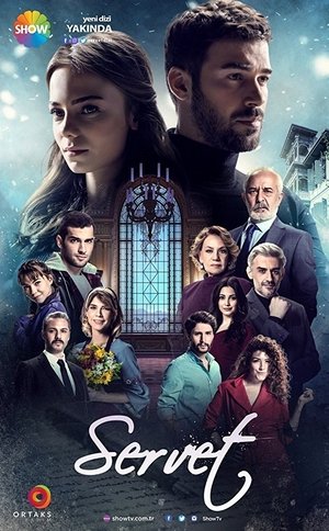 Богатство (сериал, 2018)