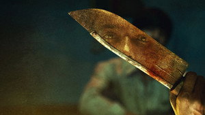 Индийский хищник: Мясник из Дели (сериал, 2022)