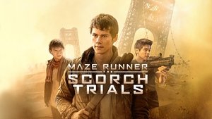 Бегущий в лабиринте 2: Испытание огнём (фильм, 2015)