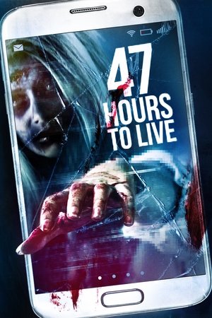 47 часов (фильм, 2019)