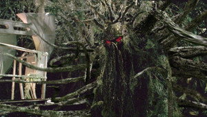 Леший (фильм, 2005)