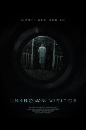 Незнакомый гость (фильм, 2019)