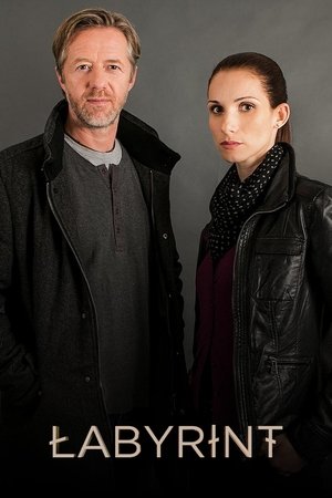 Лабиринт (сериал, 2015)