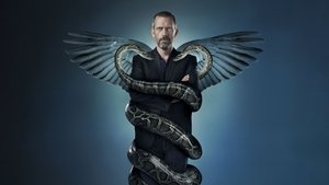 Доктор Хаус (сериал, 2004)