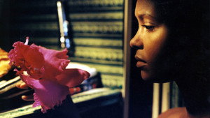 Осажденные (фильм, 1998)