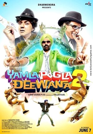Сумасшедшая семейка 2 (фильм, 2013)