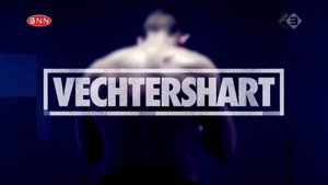 Возвращение чемпиона (сериал, 2015)