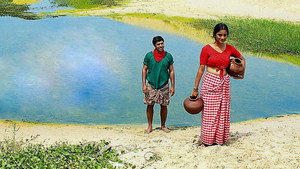 Новые берега (фильм, 2012)