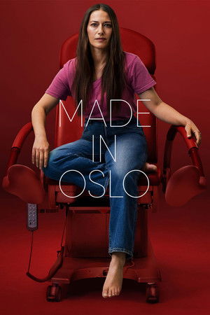 Сделано в Осло (сериал, 2022)