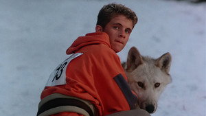 Серебряный волк (фильм, 1999)