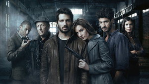 Ячейка Гординых (сериал, 2012)