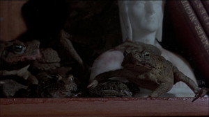 Лягушки (фильм, 1972)