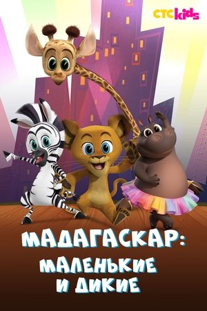 Мадагаскар: Маленькие и дикие (мультсериал, 2020)
