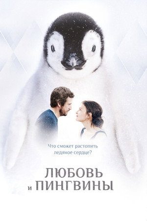 Любовь и пингвины (фильм, 2016)