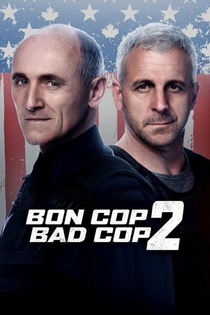 Плохой хороший полицейский 2 (фильм, 2017)