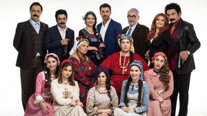 Сельская госпожа (сериал, 2016)