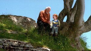 Бабочка (фильм, 2002)