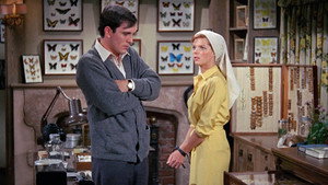 Коллекционер (фильм, 1965)