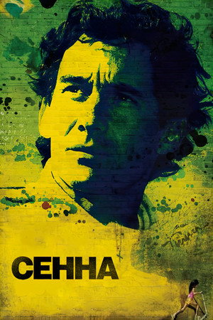 Сенна (фильм, 2010)