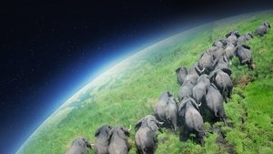 BBC: Планета Земля (сериал, 2006)