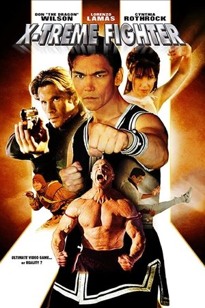 Фантастический боец (фильм, 2004)