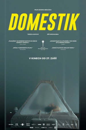 Домашний режим (фильм, 2018)