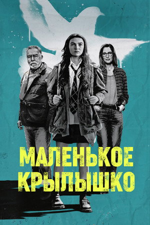 Маленькое крылышко (фильм, 2024)