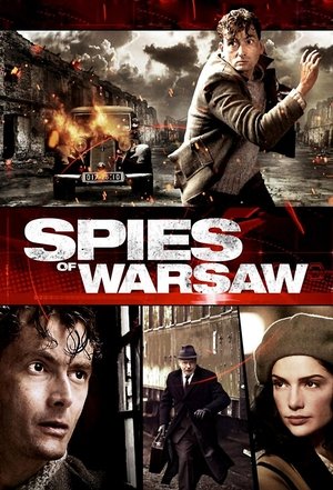 Шпионы Варшавы (сериал, 2013)
