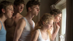 Урожай конфетти (фильм, 2014)