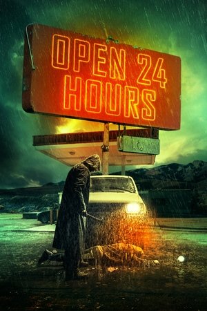 Открыто 24 часа (фильм, 2018)