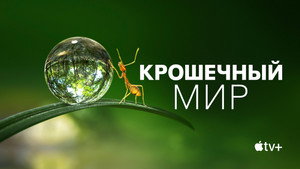Крошечный мир (сериал, 2020)