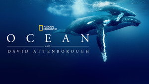 Дэвид Аттенборо: Океан (фильм, 2025)