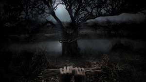 Королевский Госпиталь (сериал, 2004)