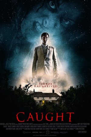 Пойманный (фильм, 2017)