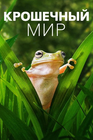 Крошечный мир (сериал, 2020)