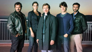 Под прикрытием (сериал, 2015)