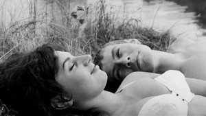 Солнце в сети (фильм, 1963)