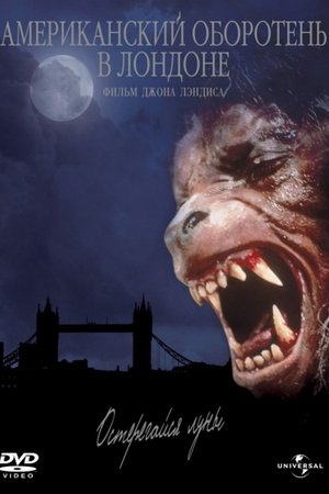 Американский оборотень в Лондоне (фильм, 1981)