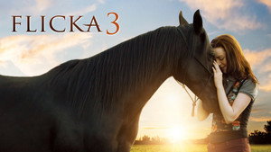 Флика 3 (фильм, 2012)