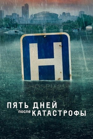 Пять дней после катастрофы (сериал, 2022)