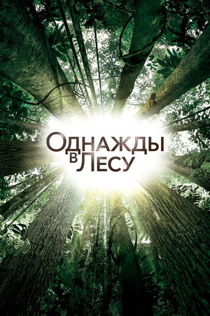 Однажды в лесу (фильм, 2013)