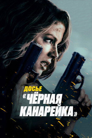 Досье «Чёрная канарейка» (фильм, 2024)