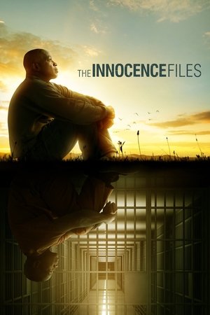 Дела невиновных (сериал, 2020)
