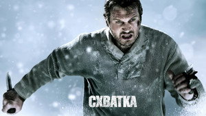 Схватка (фильм, 2011)