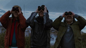 Большой год (фильм, 2011)