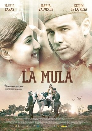 Мул (фильм, 2013)